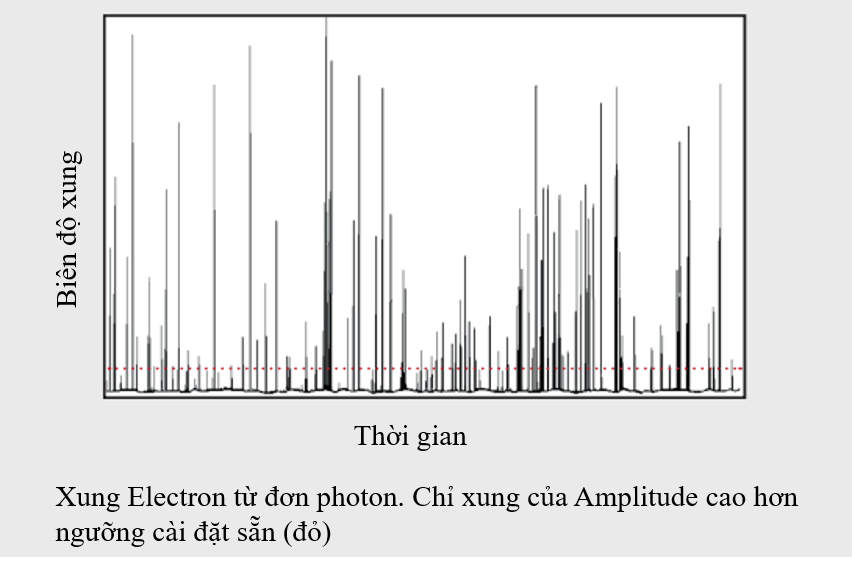 quang phổ huỳnh quang FLS1000