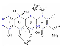 Ks 2