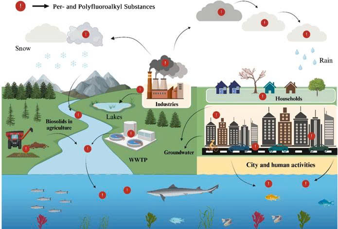 Per và polyfluoroalkyl (PFAS)- Giới thiệu tổng quan